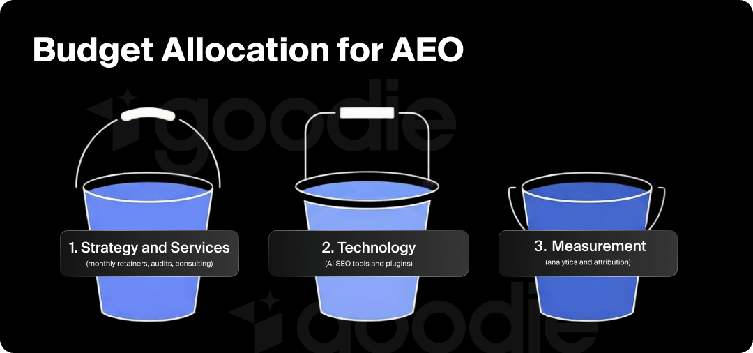 Graphic of budget allocation for AEO broken up into strategy, technology, and measurement.