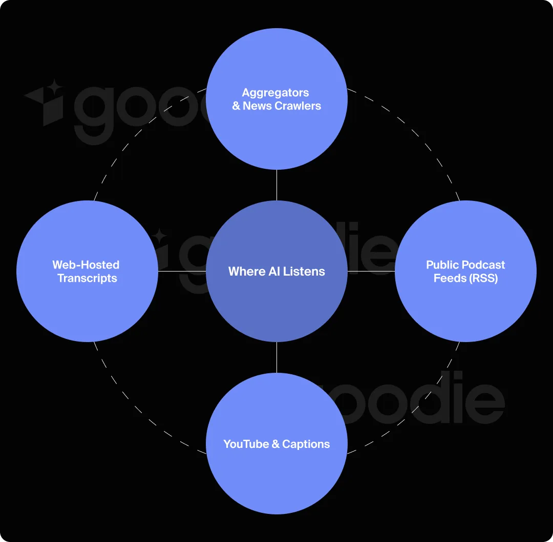 Graphic showing the four places from which AI gets audio content.