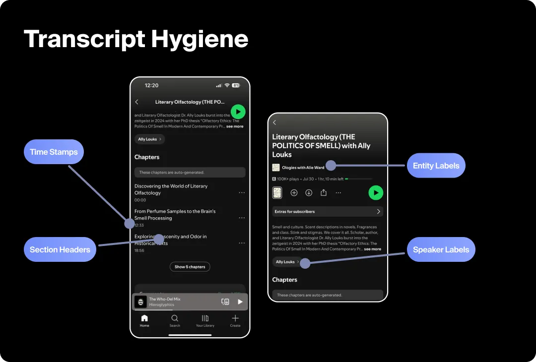 Graphic explaining what good transcript hygiene looks like for podcasts.