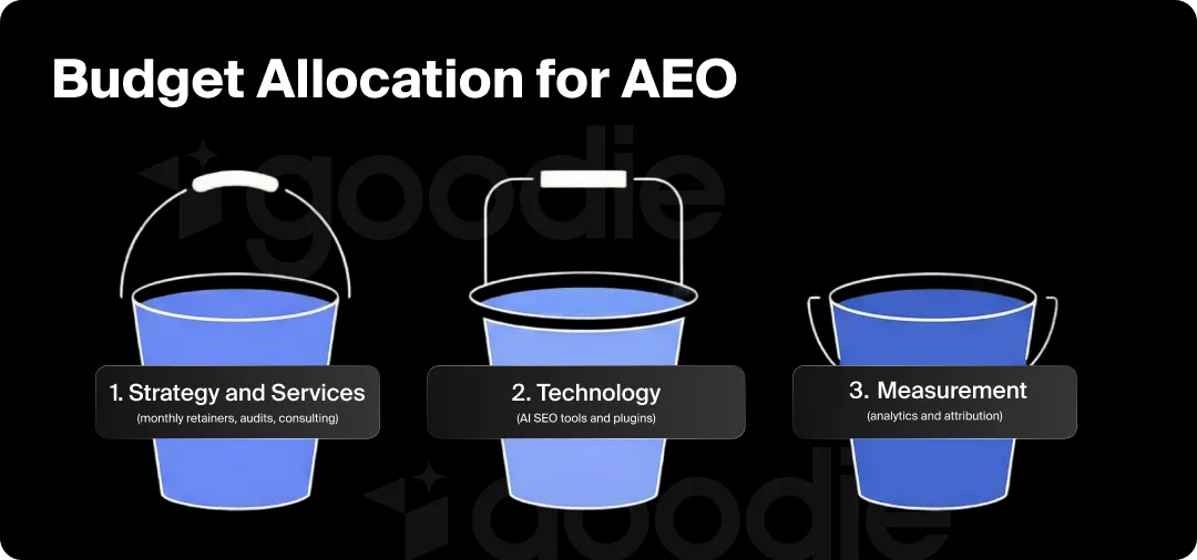 Graphic of budget allocation for AEO broken up into strategy, technology, and measurement.
